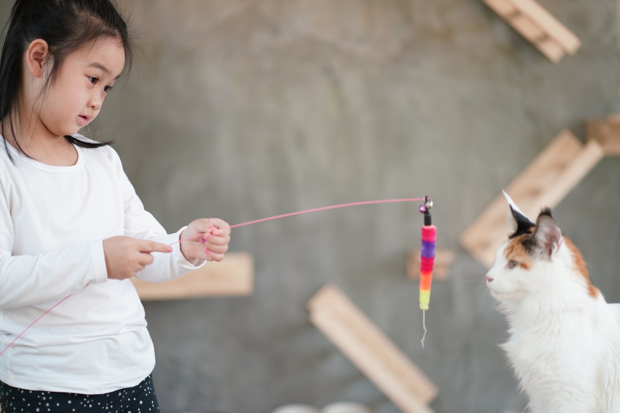 A child playing with a cat, Mental Stimulation is Key to Your Pet’s Health