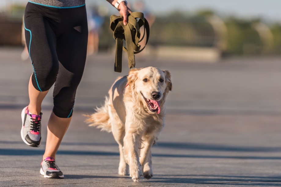 Dog running next to person