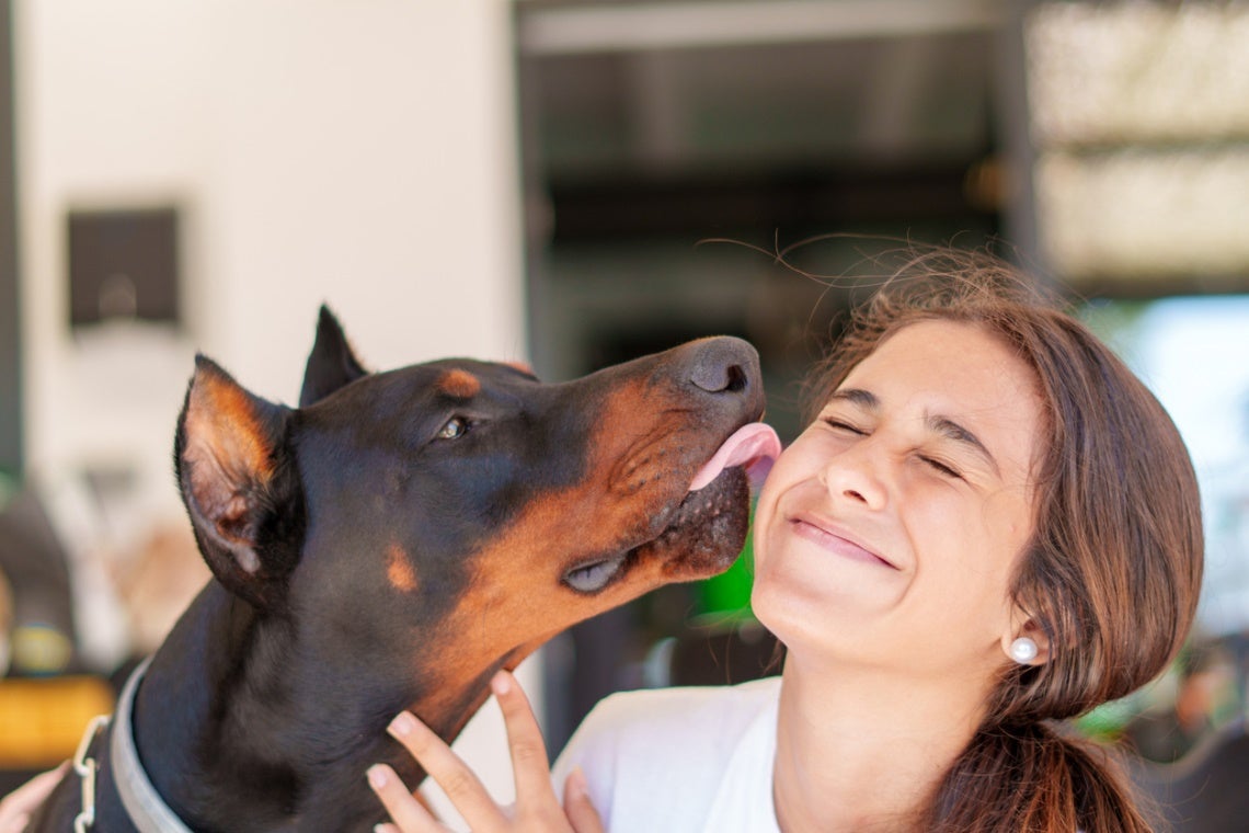 Zoonotic Disease 1 Zoonotic Disease in cats and dogs