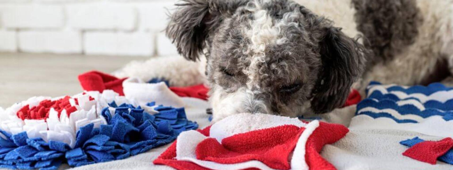 Dog using a snuffle mat for canine enrichment.